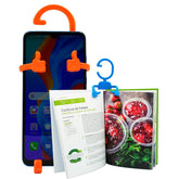 #29368 - P'tit gugus